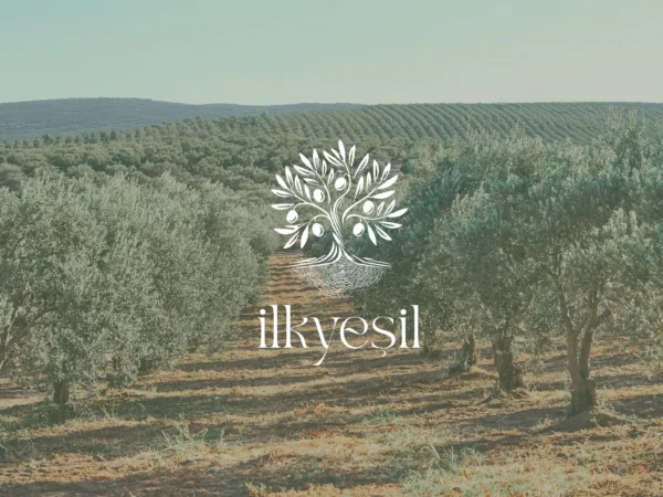 Erken Hasat Soğuk Sıkım Zeytin Yağı 500 ml - Görsel 3